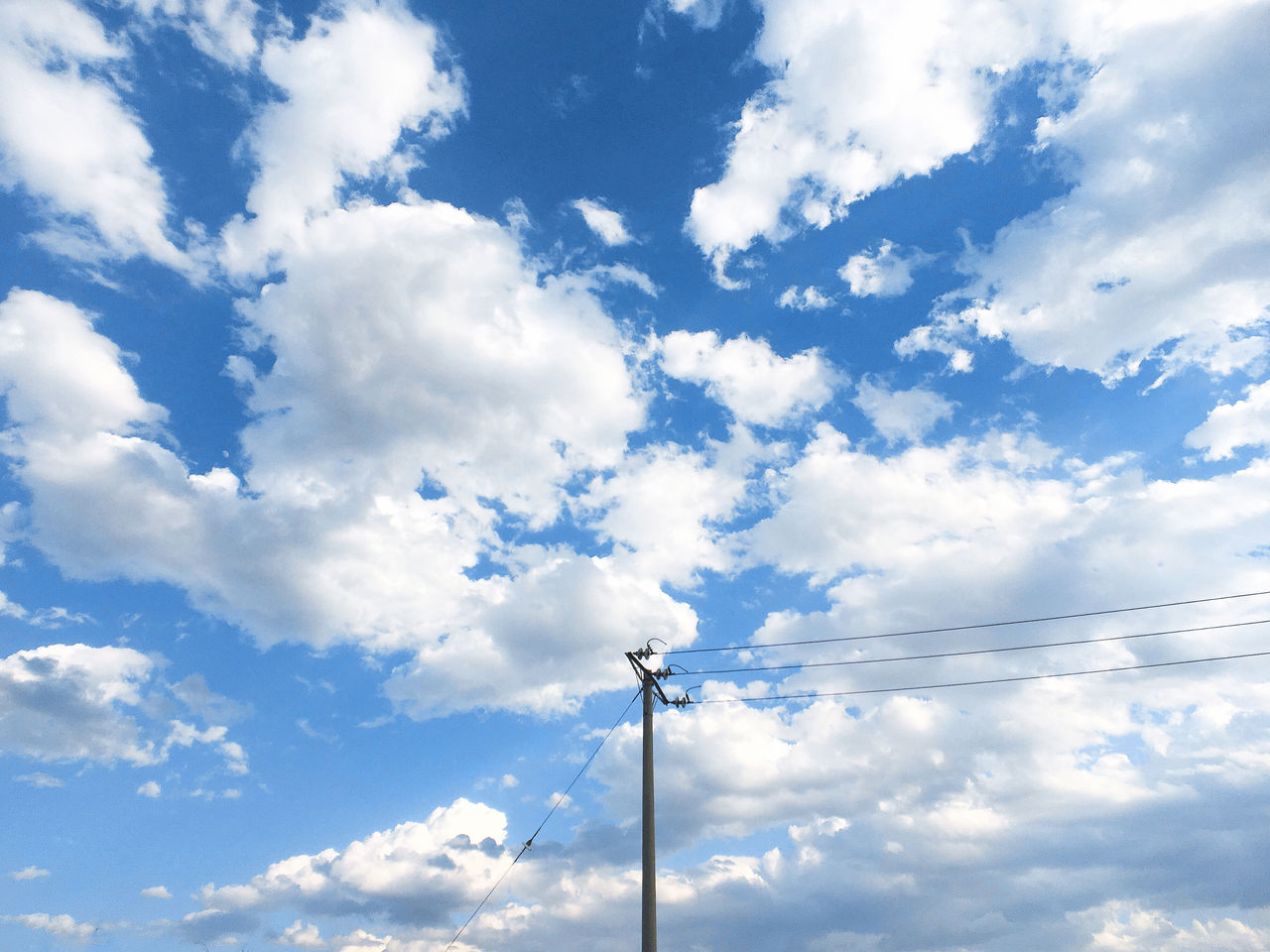 立夏节气 | 品读司马光诗词，了解夏的生长