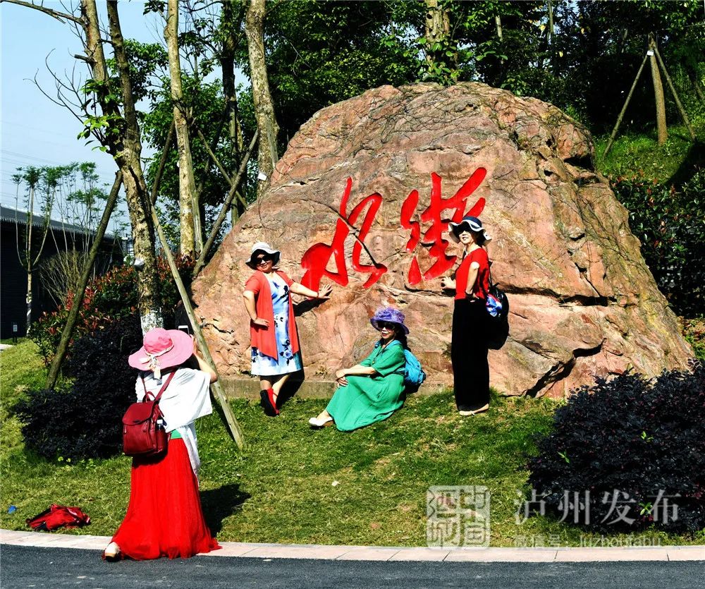 抓住假期的尾巴,去家门口的泸州长江生态湿地公园逛逛!