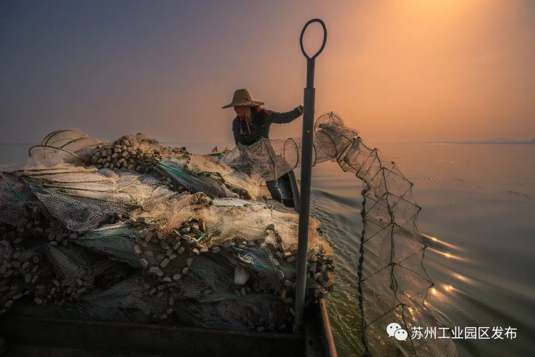 水磨头渔乡：十点旅程体验，让您流连忘返