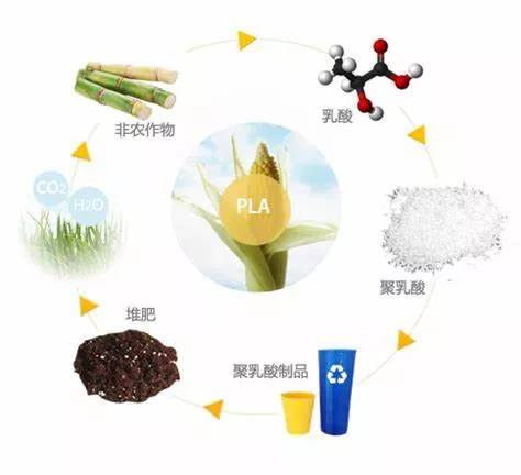 关于生物可降解塑料的误解你中了几个