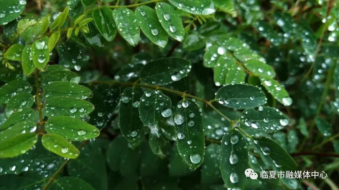 夏雨中的八坊十三巷 别有意境