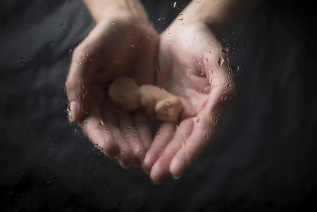 把生娃视频放上网，一个女权博主的硬核生育