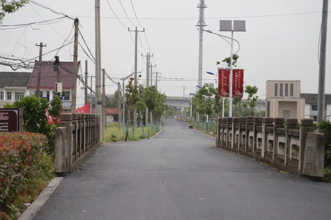 柏油路小三园截污纳管金山这个村越来越美