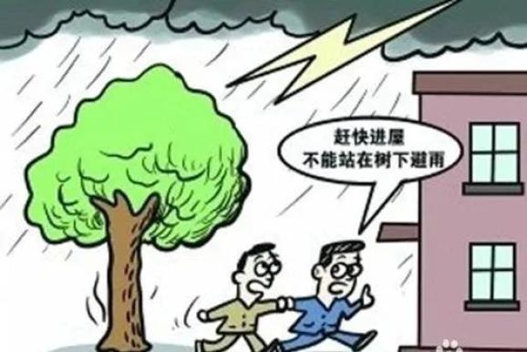 凌晨一民房被雷劈中8间毁了4间近期千万小心