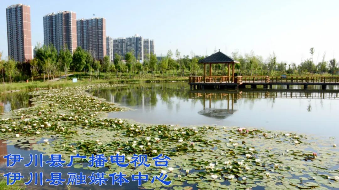 我县伊河国家湿地公园建设成效显著