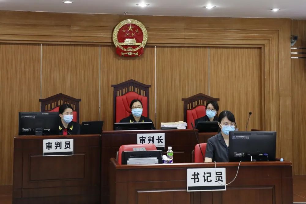 台山这个恶势力犯罪团伙两漏网分子受审