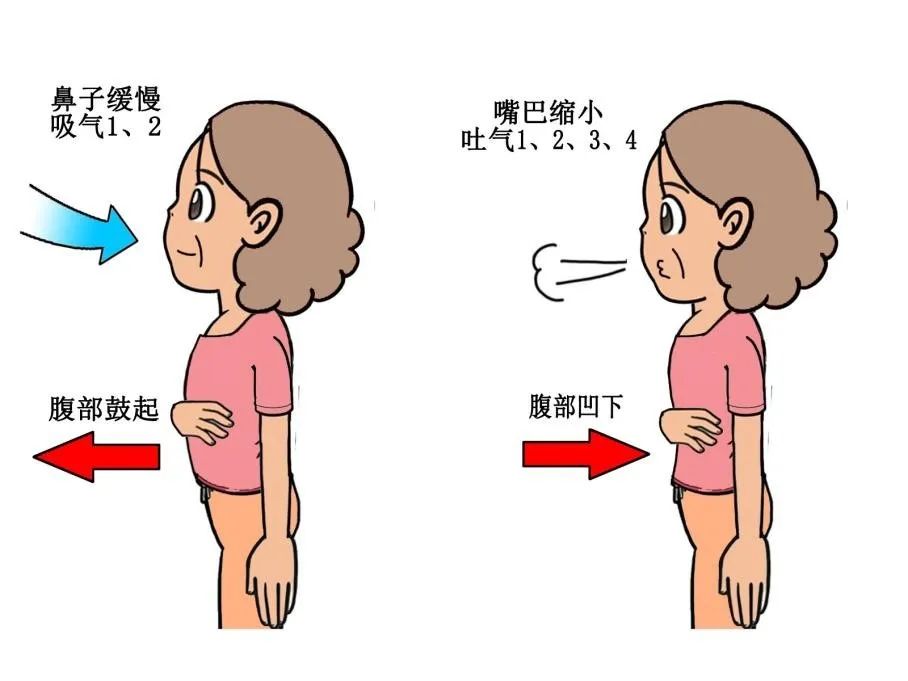 作用:反复的深呼吸训练,可以增加胸廓扩展度,提高肺活量;肺活量的