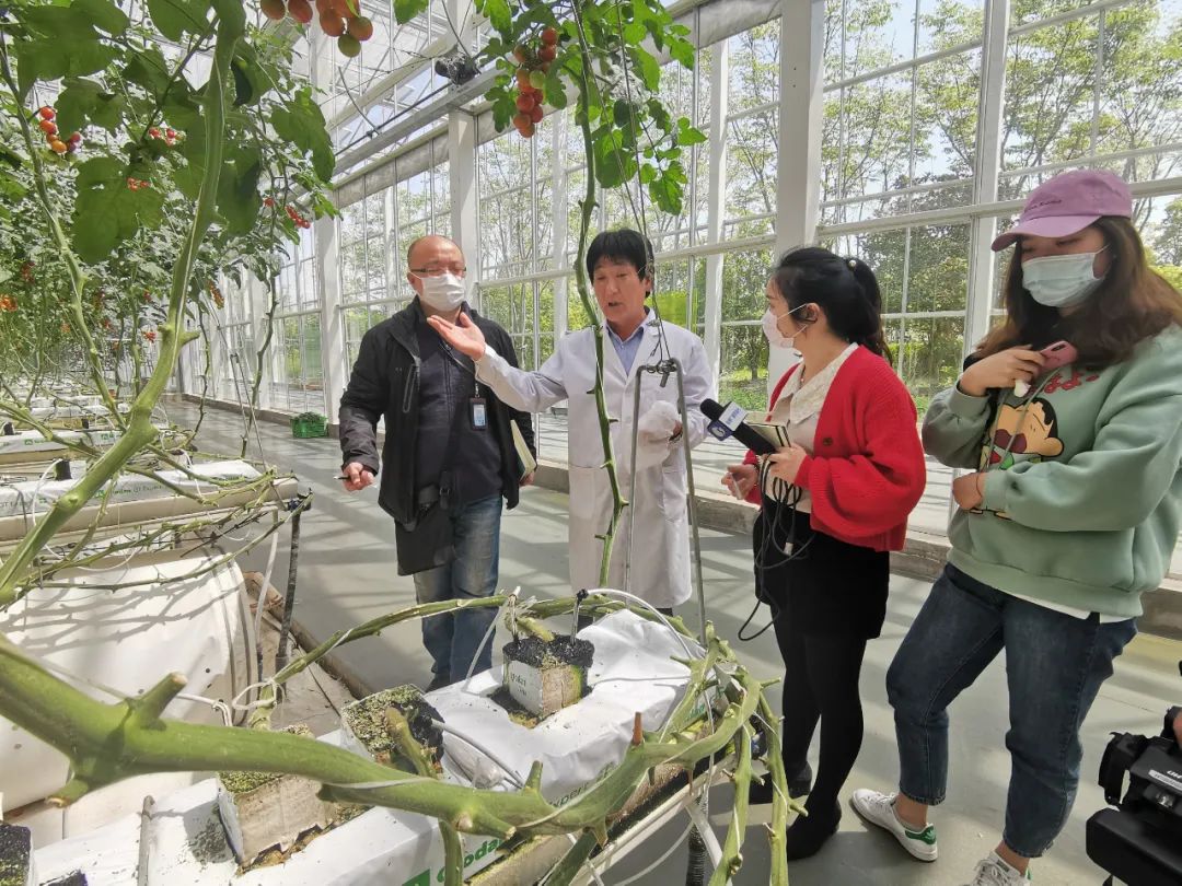 飞悦农业蔬菜种植技术员赵如海: "希望年轻人也能爱上