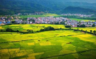 世界人工栽培稻源头:江西万年稻作文化系统