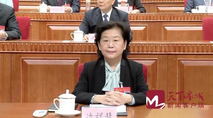 执行主席,主席团常务主席孙立成,殷鲁谦,边祥慧,谭延伟,巩宪群,孙积港