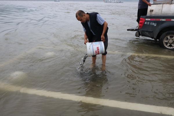 犯罪嫌疑人放生鱼苗修复长江生态
