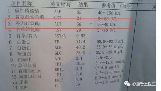 肝功能检查好多箭头,到底是什么意思什么病?