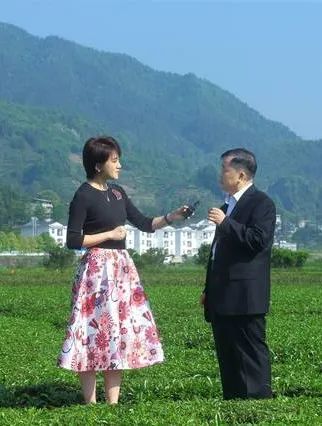 台 这趟旅程就算不得完整 在庆阳坝茶园 刘钰洁搭档茶文化专家张建平