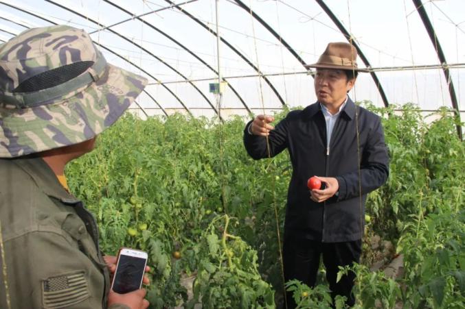 "汪山泉一边实地查看高科园高标准温室物联网系统,水肥一体化系统及