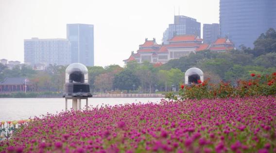 顺峰山公园花海"上新"啦!周末来邂逅一场紫红色浪漫!