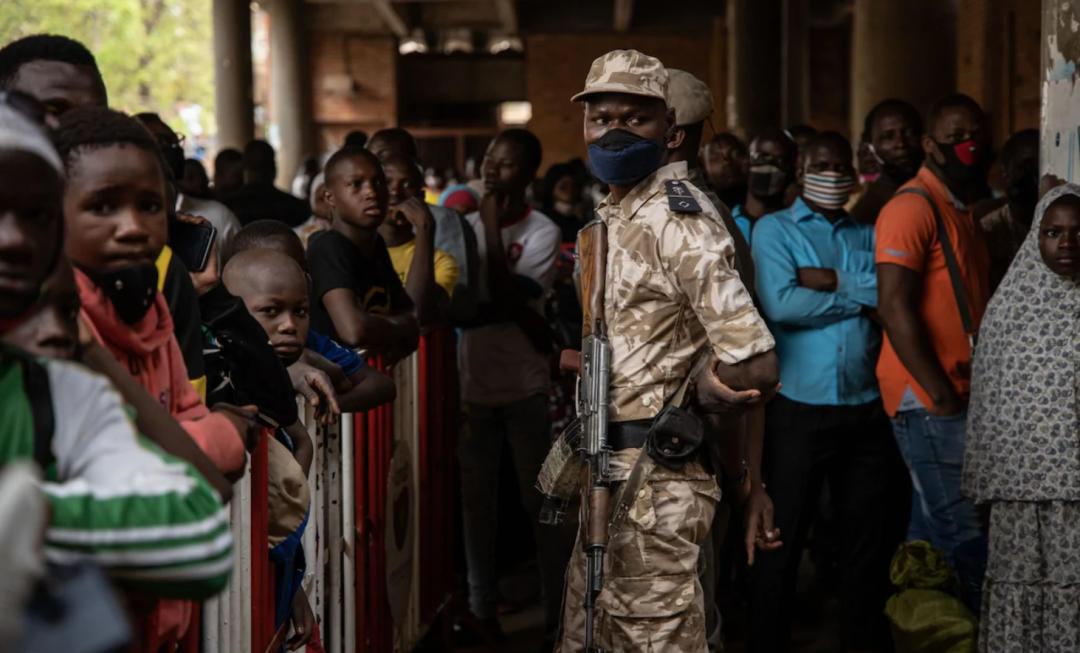 “粮食危机”：饥饿让我们忘记了疾病