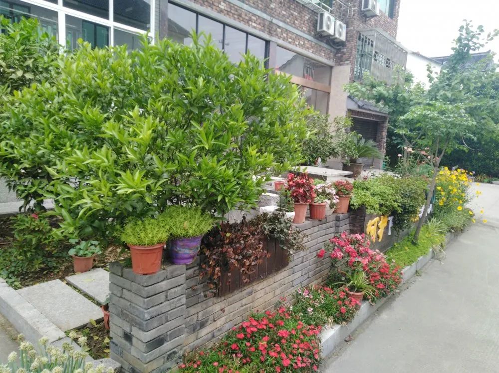 美丽庭院进行时①最是田园好风景钟管篇