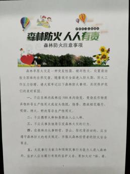 党员干警们制作了防火宣传单,向群众宣传森林防火法律法规,普及森林