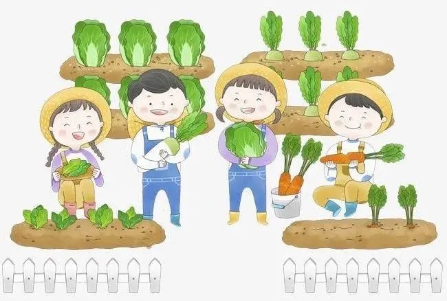 私人订制!你的田园,你做主!