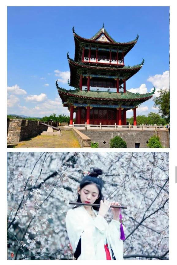 风景独好郁孤台下清江水江南宋城惊艳美