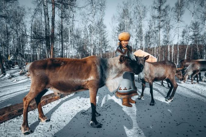 内蒙古莫尔道嘎鄂温克族女主人与她的驯鹿 开心修罗/摄