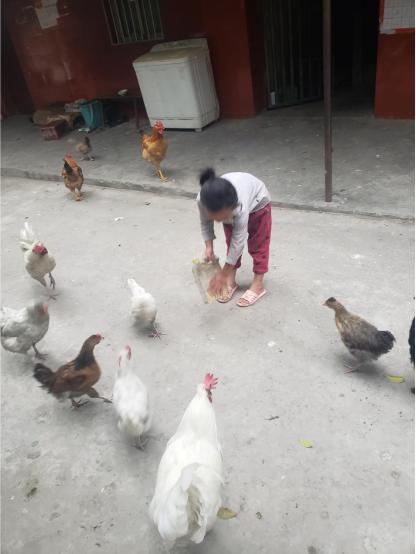 “我不信！学好普通话就一定能治好妈妈！”（最新发布）