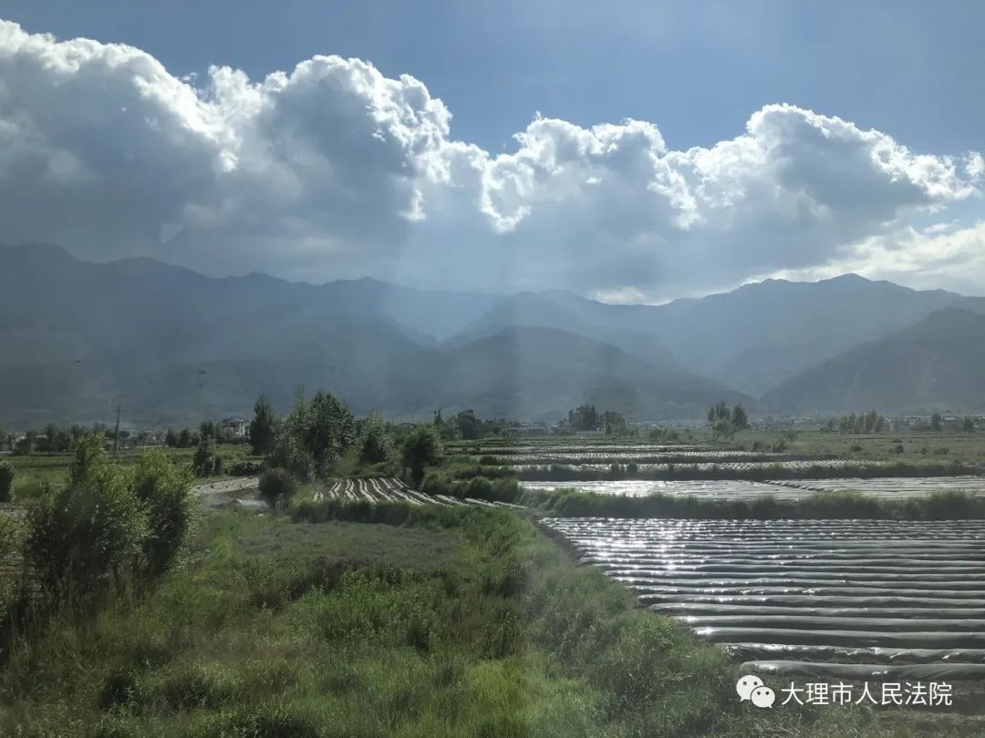 【洱海保护】保护洱海 保护阳溪—大理市人民法院在行动