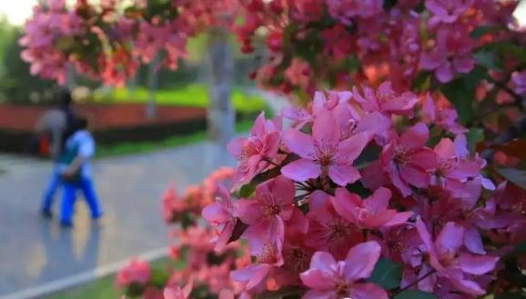 end 本文由北京亦庄发布 转载请注明出处 记者:田艳军 张泉 照片:潘