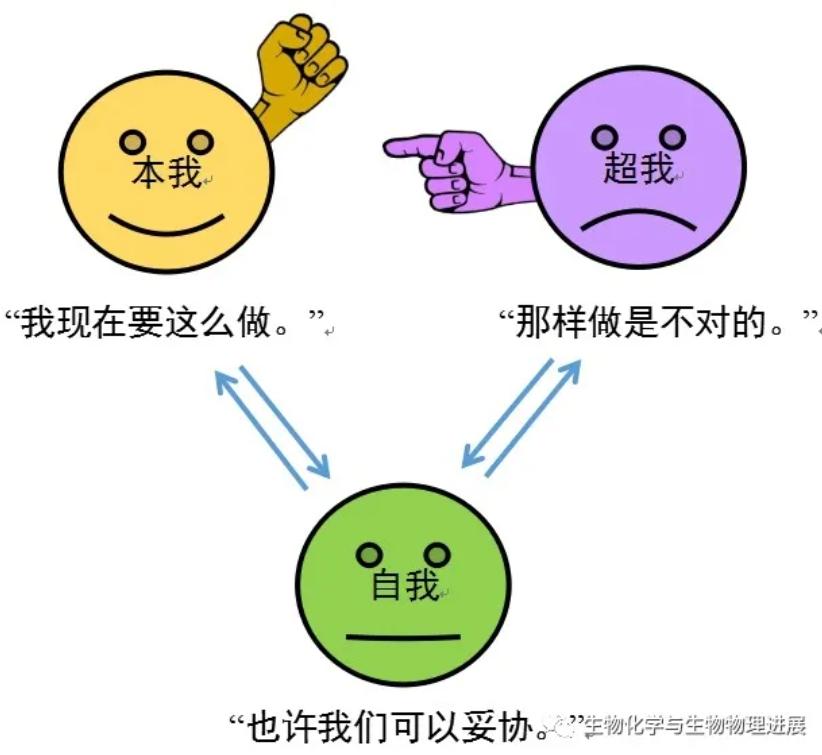 前沿科普我命由我不由天一文搞懂本我自我和超我