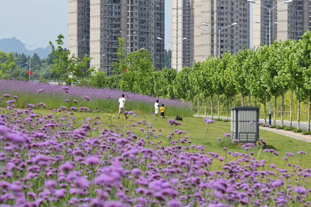 醉美点军点军又一网红景点联棚河滨河景观现雏形