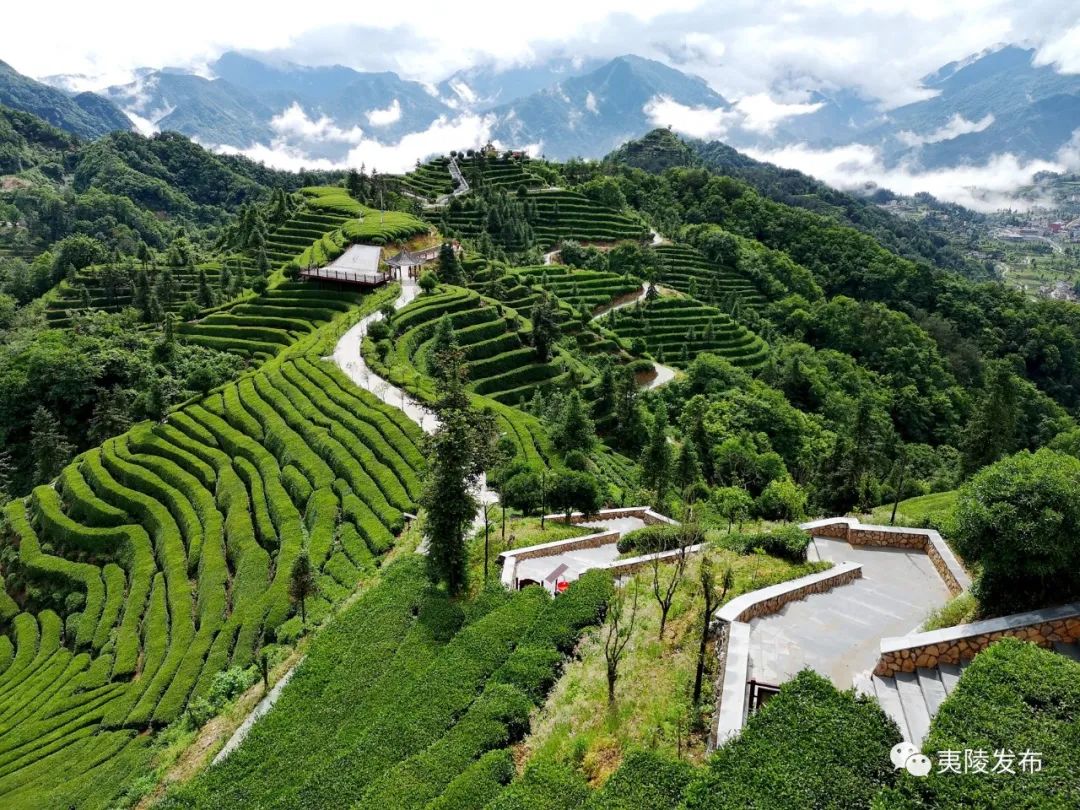 三峡茶谷入围全国精品茶旅线路