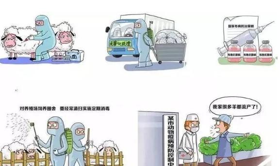 积极防控布病 构建健康社会