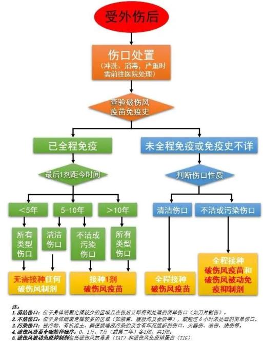 成年人可以接种哪些疫苗?