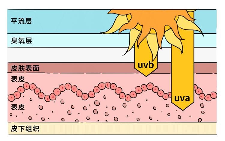 紫外线abcd谁才是让你变黑的罪魁祸首