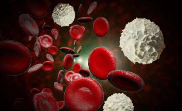 治疗恶性血液病,造血干细胞不只来自脐带血