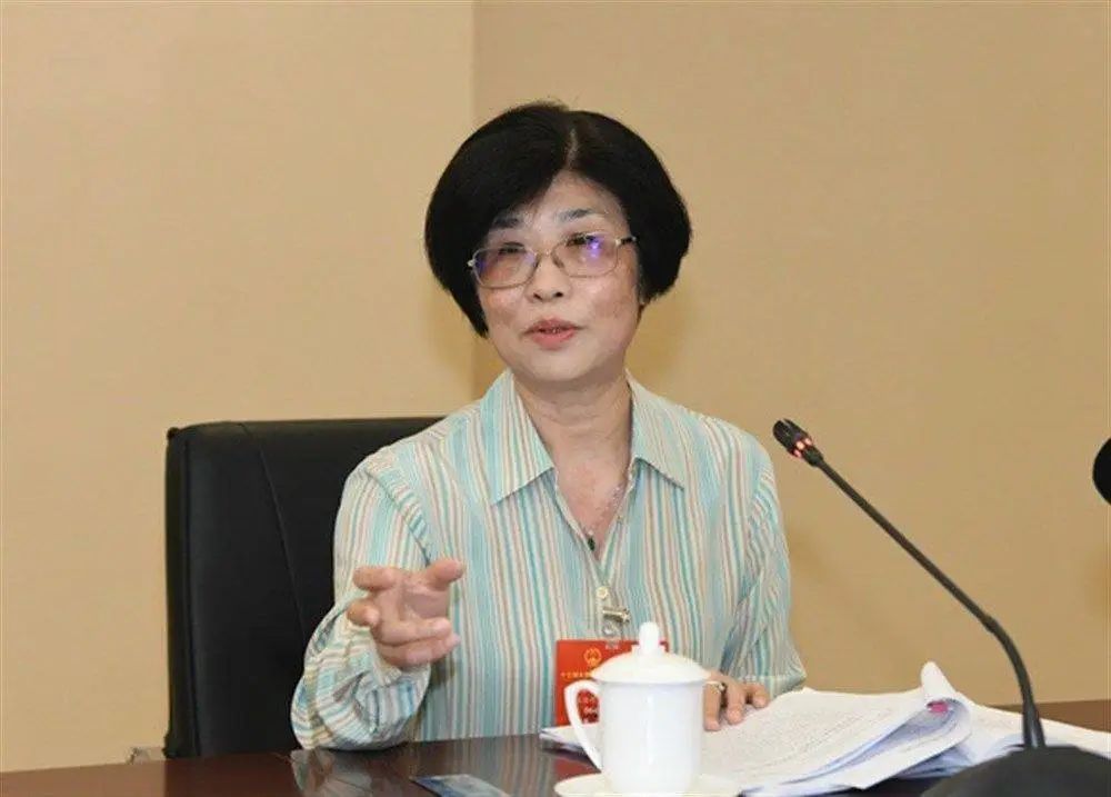 上海代表团第二场“云采访”，聚焦这个话题！（最新发布）