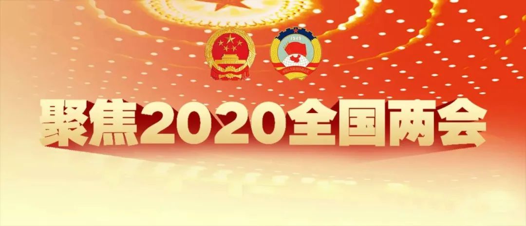 【2020全国两会】沈跃跃表示:坚决做到"两个维护" 奋斗建新功 为统筹