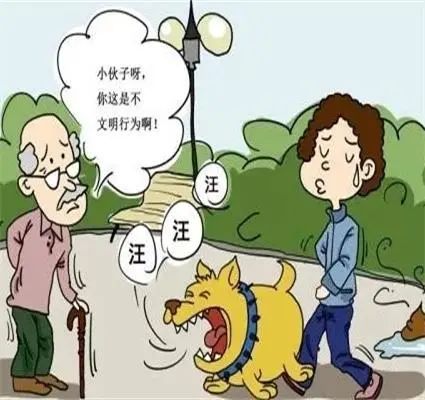 创城进行时献县已有9人因不文明养犬被处罚