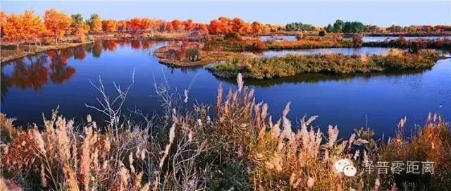 带货行动升级!新疆大枣香不香?来看“闵行籍”指挥长的大直播!(最新发布)