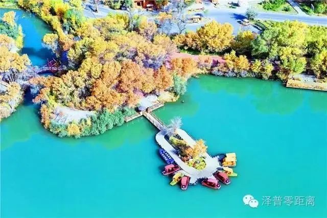 带货行动升级!新疆大枣香不香?来看“闵行籍”指挥长的大直播!(最新发布)