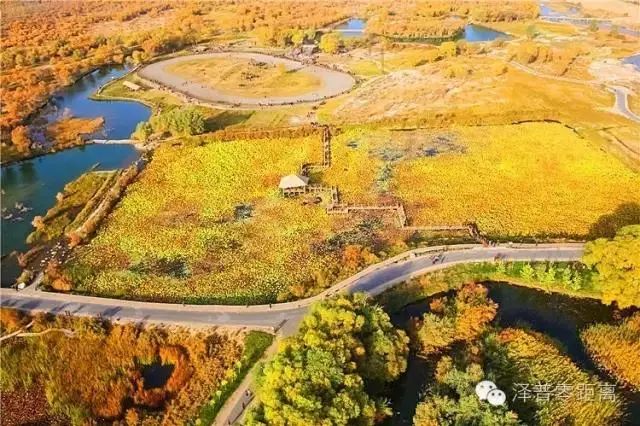 带货行动升级!新疆大枣香不香?来看“闵行籍”指挥长的大直播!(最新发布)