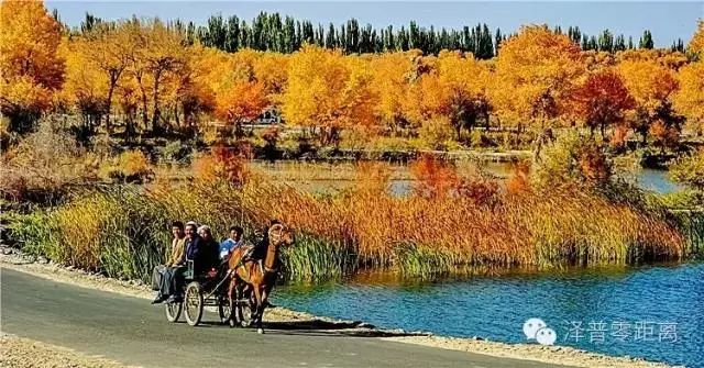 带货行动升级!新疆大枣香不香?来看“闵行籍”指挥长的大直播!(最新发布)