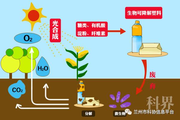 【科普知识】可降解塑料有哪些?