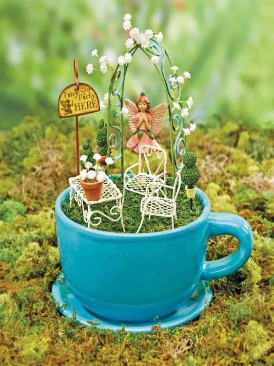 在茶杯里建花园,31万网友围观点赞:这是我不曾见过的童话世界!