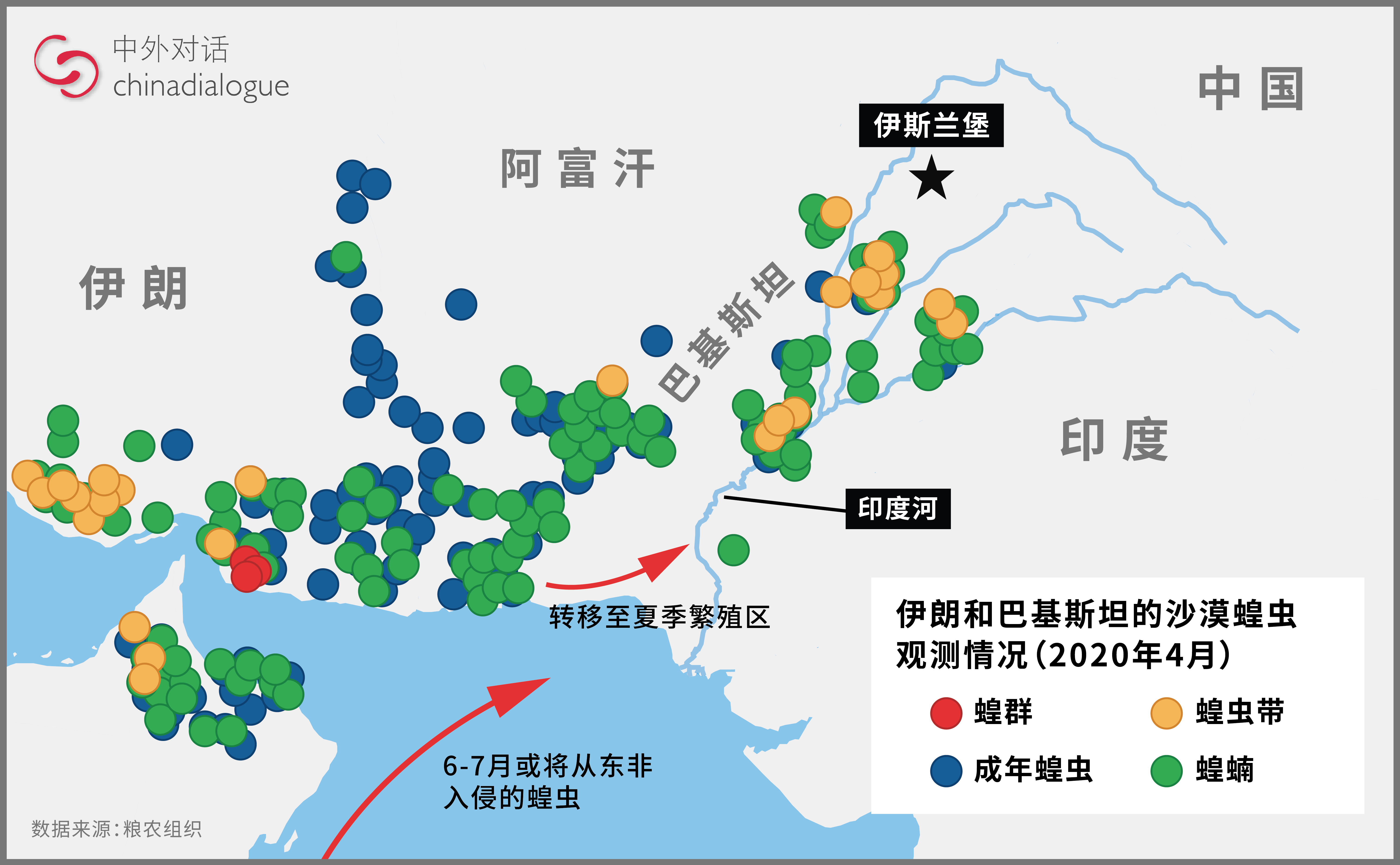 蝗灾威胁南亚粮食安全