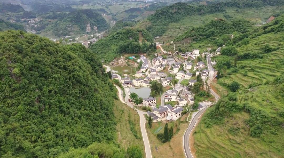 决战决胜脱贫攻坚 | 镇雄果珠乡:整合土地资源 群众富产业兴