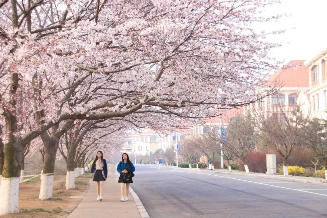 中国海洋大学  和宿管阿姨理解的微笑 朝夕相处的日日夜夜 有多少次的