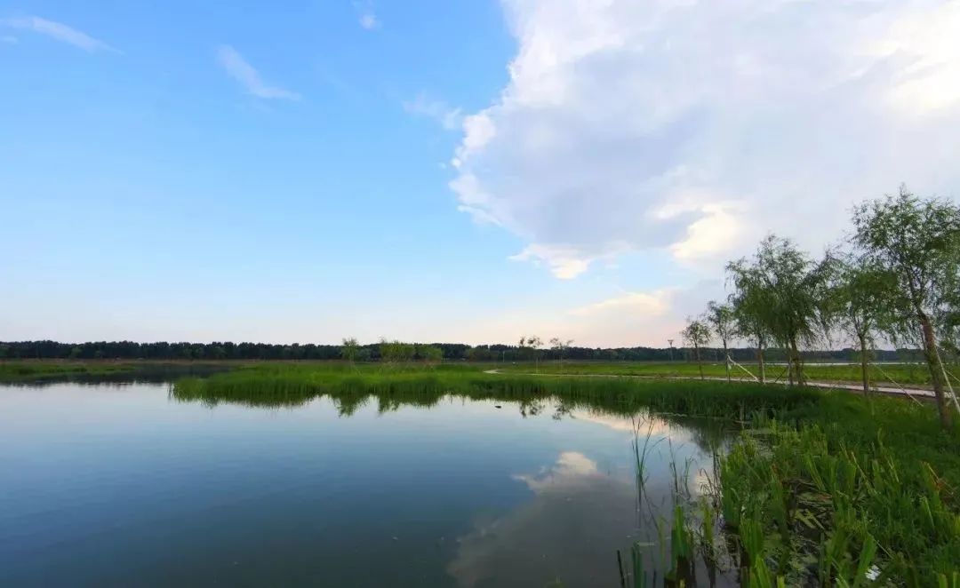 本周小津推荐的国家级新"公园"来喽 01 天津宝坻潮白河国家湿地公园
