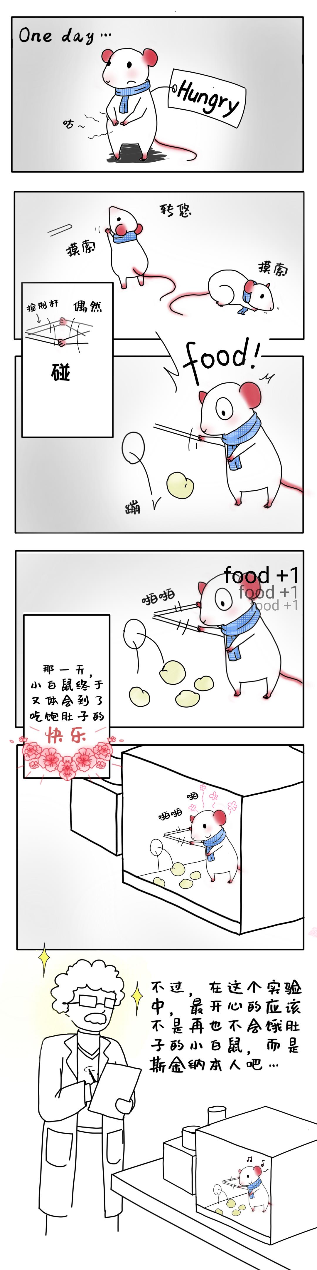 心理漫画丨斯金纳箱里的小白鼠