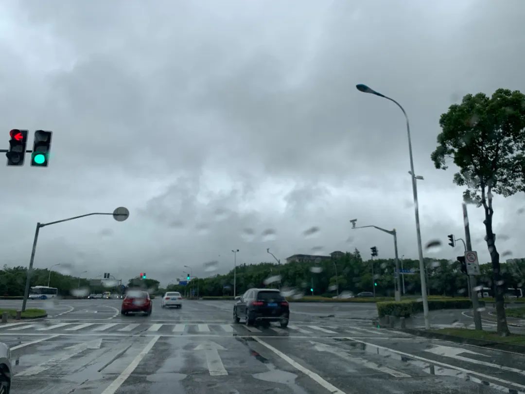 今天上海下雨了,海大渔政船,蜻蜓,梨园,睡莲.一波"魔幻"实景图来袭